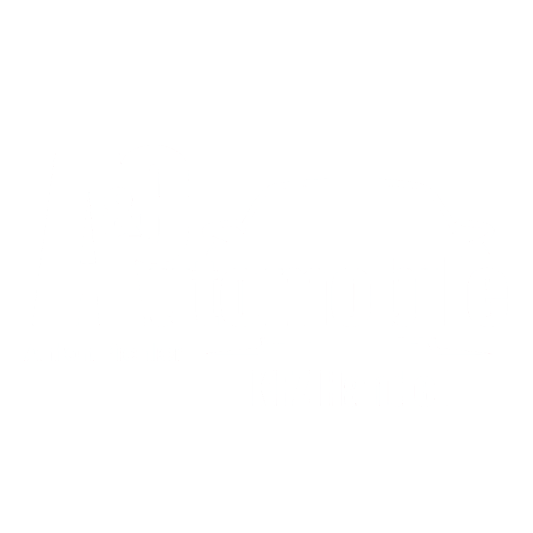 A&C Automobile – Anton Pichler – KFZ Handel
